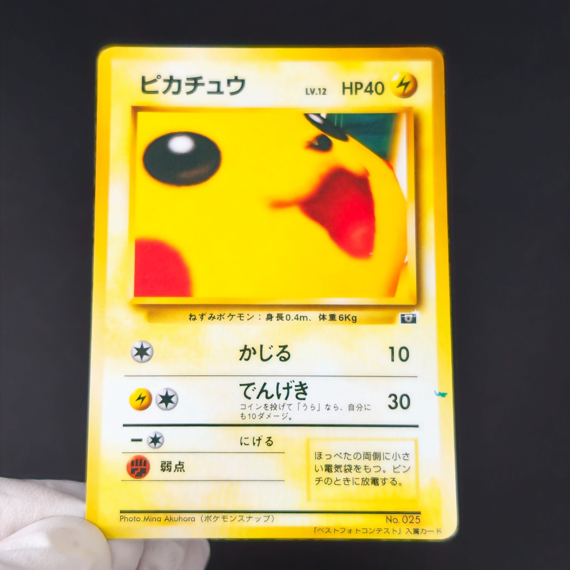 Vintage Pokemon Collectible - 10 adet Pokemon Vintage Boy Bulbasaur